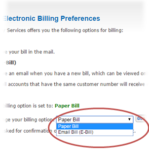 drop down menu showing Paper Bill and Email Bill options